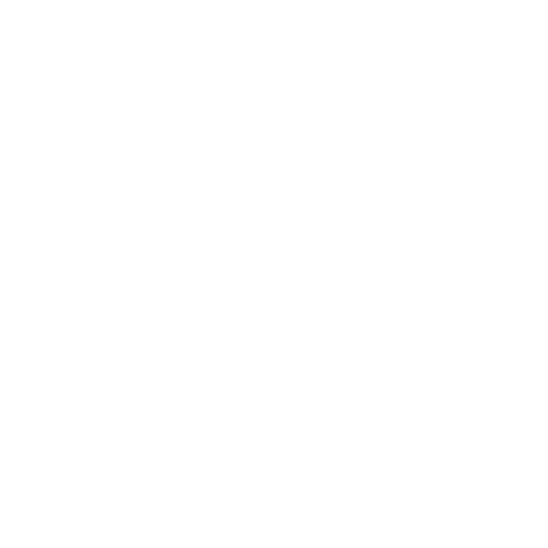 unique store logo